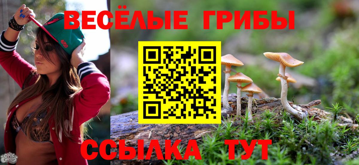 Псилоцибиновые грибы Psilocybe Заинск