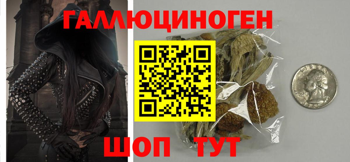 Заинск  Галлюциногенные грибы прущие грибы  хочу наркоту  Вход с VPN  Галлюциногенные грибы GOLDEN TEACHER 