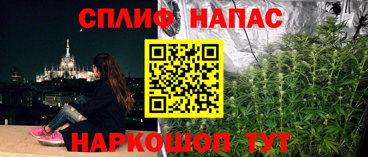 МАРИХУАНА планчик Заинск